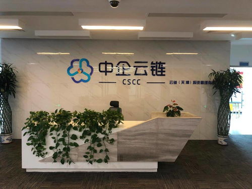 中企云鏈 安心扎根，舒心發展，創新金融科技服務與信息技術咨詢